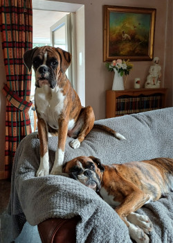 Cilla and her mum, Darcy